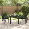 Zestaw do jadalni w ogrodzie 3 pcs Czarny