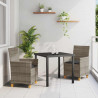 Zestaw do jadalni w ogrodzie 3 pcs Szary polirattan