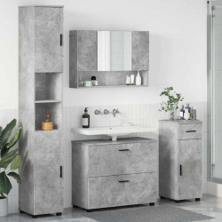 Zestaw mebli łazienkowych z szufladą 4 pcs Betonowy szary