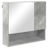 Zestaw mebli łazienkowych z drzwiami 4 pcs Betonowy szary