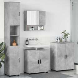 Zestaw mebli łazienkowych z drzwiami 4 pcs Betonowy szary
