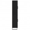 Highboard 2 pcs Czarny Dąb Drewno inżynieryjne i szkło