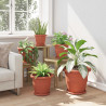 Doniczki 6 pcs Czerwony ceglasty Ø 26 x 21.5 cm