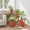 Doniczki 6 pcs Czerwony ceglasty Ø 26 x 21.5 cm
