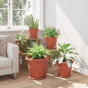 Doniczki 24 pcs Czerwony ceglasty Ø 26 x 21.5 cm