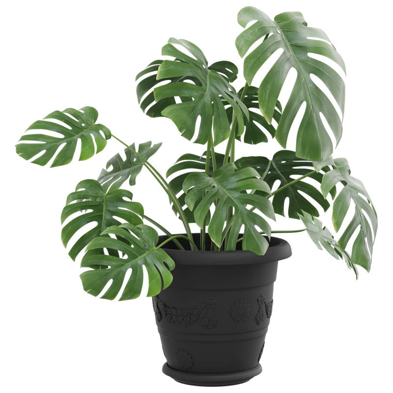 Doniczki 24 pcs Czarny Ø 26 x 21.5 cm Z tworzywa sztucznego