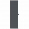 Szafka do przechowywania Antracyt 80 x 40 x 140 cm Stal