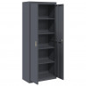 Szafka do przechowywania Antracyt 80 x 40 x 200 cm Stal