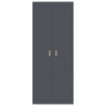 Szafka do przechowywania Antracyt 80 x 40 x 200 cm Stal