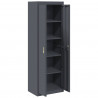 Szafka do przechowywania Antracyt 60 x 40 x 180 cm Stal