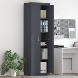Szafka do przechowywania Antracyt 60 x 40 x 200 cm Stal