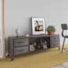 Szafka pod telewizor, srebrna, 110x30x40 cm, żelazna