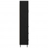 Highboard 2 pcs Czarny Dąb Drewno inżynieryjne i szkło