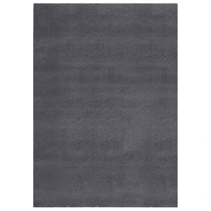 Dywan z krótkim włosiem i możliwością prania 160x230cm antracyt