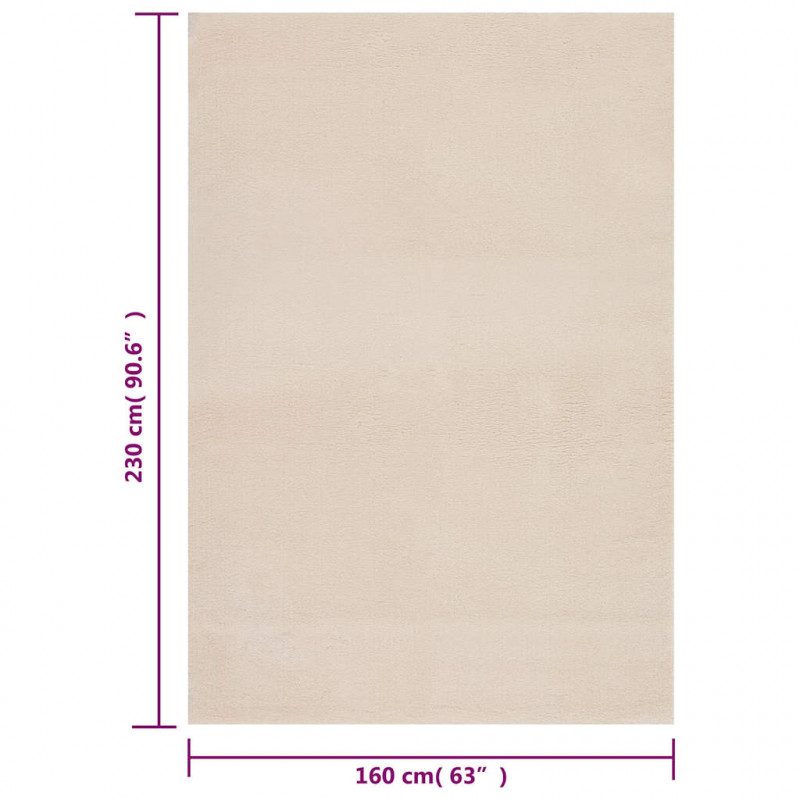 Dywan z krótkim włosiem i możliwością prania 160x230 cm, beżowy