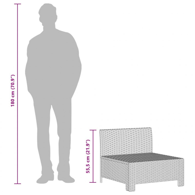 2-osobowa sofa ogrodowa z poduszkami, szara, polirattan