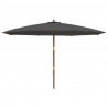 Parasol ogrodowy na drewnianym słupku, antracytowy, 400x273 cm