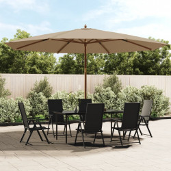 Parasol ogrodowy na drewnianym słupku, taupe, 400x273 cm