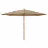 Parasol ogrodowy na drewnianym słupku, taupe, 400x273 cm