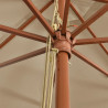 Parasol ogrodowy na drewnianym słupku, taupe, 400x273 cm