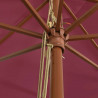 Parasol ogrodowy na drewnianym słupku, bordowy, 400x273 cm