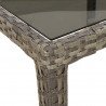 Stół Ogrodowy Szary 250 x 100 x 75 cm polirattan