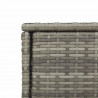 Szafka ogrodowa, szara, 55x55x111 cm,polirattan