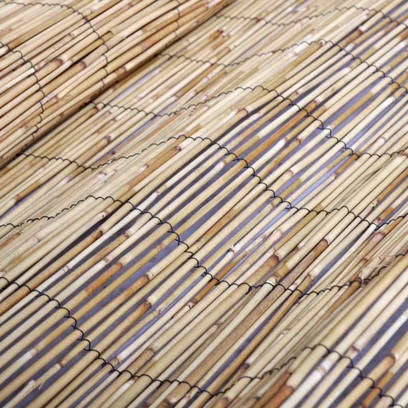 Mata ogrodzeniowa, 500x80 cm, trzcina