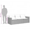 3-osobowa sofa ogrodowa z poduszkami, szara, polirattan