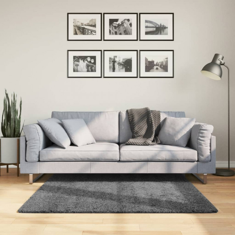 Dywan OVIEDO z krótkim włosiem, antracytowy, 120x120 cm