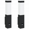 Zewnętrzna lampa ścienna 2 pcs Czarny 10.5 x 6 x 33 cm