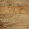 Szafka RTV Brązowa 100x33x46 cm Drewno lite Mango