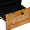 Szafka pod telewizor Brązowy 100 x 33 x 46 cm Drewno z mango