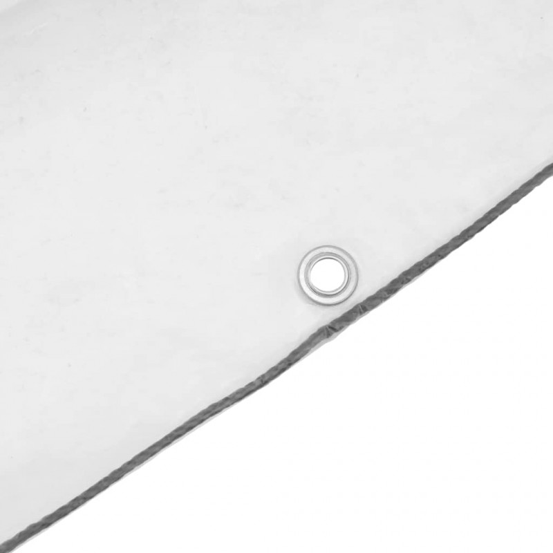 Przezroczysta plandeka z oczkami 5x6 m Polietylen