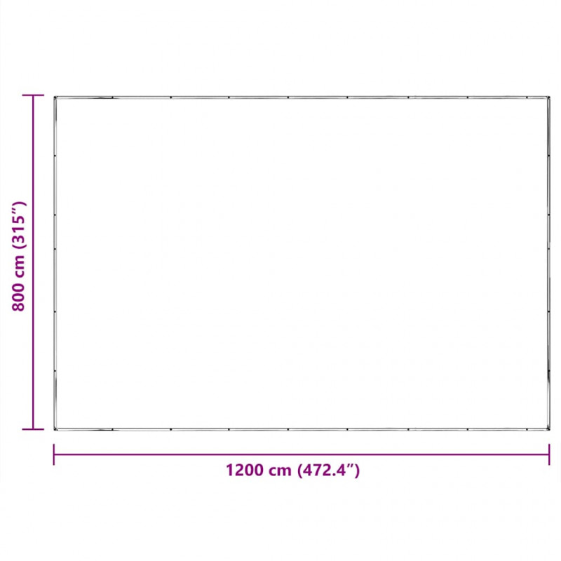 Przezroczysta plandeka z oczkami 8x12 m Polietylen