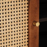 Szafka pod telewizor Brązowy 105 x 33,5 x 46 cm Drewno z mango
