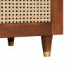 Stolik kawowy 100 x 54 x 40 cm Drewno z mango