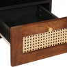 Szafka pod telewizor Brązowy 100 x 33,5 x 46 cm Drewno z mango