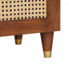 Szafka pod telewizor Brązowy 100 x 33,5 x 46 cm Drewno z mango