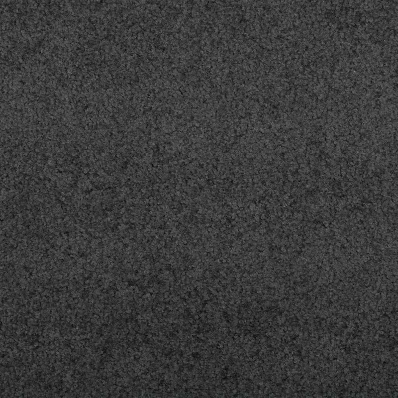 Dywanik wejściowy Inny Antracytowy i czarny 120 x 350 cm