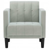 Sofa Fotel z Podłokietnikami Jasnoszary 53 cm Aksamit
