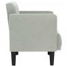Sofa Fotel z Podłokietnikami Jasnoszary 53 cm Aksamit