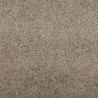Dywanik wejściowy Inny Beżowy i czarny 120 x 300 cm