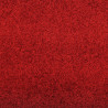 Dywanik wejściowy Inny Czerwony i Czarny 120 x 250 cm