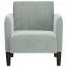 Sofa Fotel z Podłokietnikami Jasnoszary 54 cm Aksamit