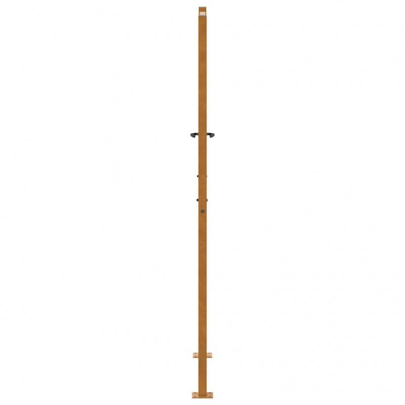 Brama ogrodowa 100x175 cm Stal nierdzewna Lekka konstrukcja