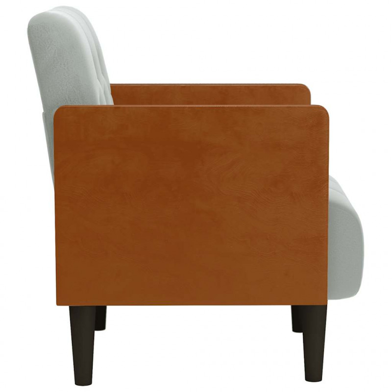 Sofa Fotel z Podłokietnikami Jasnoszary 55 cm Aksamit
