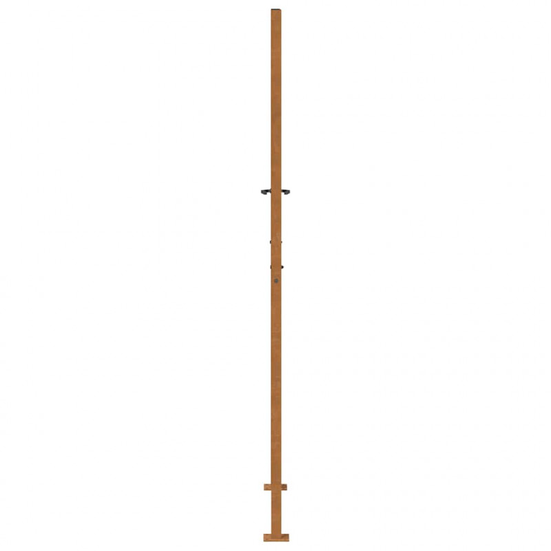Brama ogrodowa 100x200 cm Stal nierdzewna Lekka konstrukcja