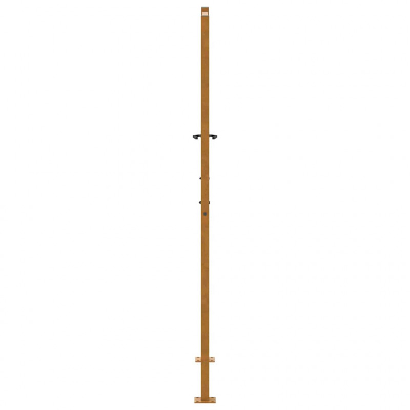 Brama ogrodowa 100x175 cm Stal nierdzewna Wzór liścia