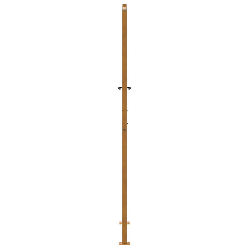 Brama ogrodowa 100x200 cm Stal nierdzewna Wzór liścia